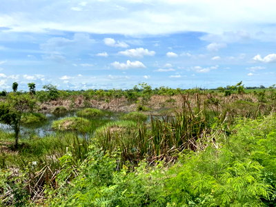 Land for sale Muang Chachoengsao Chachoengsao : Urgent sale! Beautiful plot of land, fronting a main road, prime location, Khlong Luang Phaeng Subdistrict