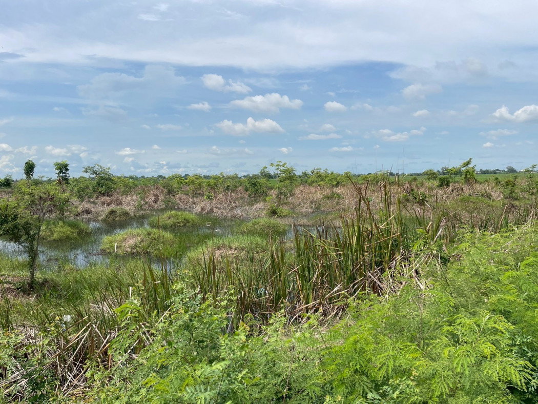 picture Urgent sale! Beautiful plot of land, fronting a main road, prime location, Khlong Luang Phaeng Subdistrict - 1/12