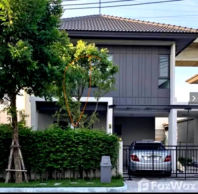 Houses for rent Bangkok : Twin House for Rent /BaanKlangMuang the Edition Onnut -Rama9 6620871