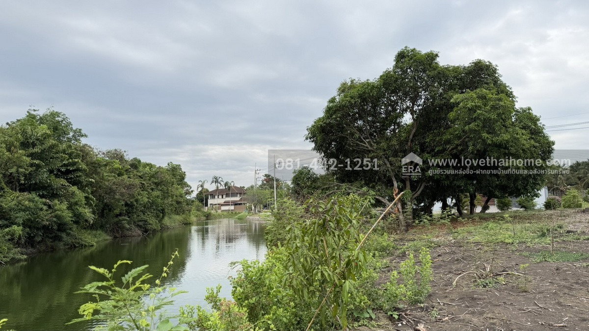 รูป ขายที่ดิน หมู่บ้านกฤษดานคร 26 ถนนบรมราชชนนี อ.นครชัยศรี จ.นครปฐม พื้นที่ 411 ตรว. ต่ำกว่าราคาประเมินกรมที่ดิน! ราคา 15,000 บาท/ตรว.ใกล้โพเมโลกอล์ฟคลับ - รูปที่ 3/5