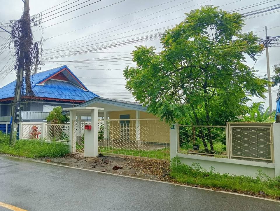 picture Single-Story House, Ban Ton Ngio, San Phak Wan, Great Location! T. 063-6649056 - 3/11