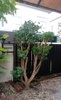 listing thumbnail image 5