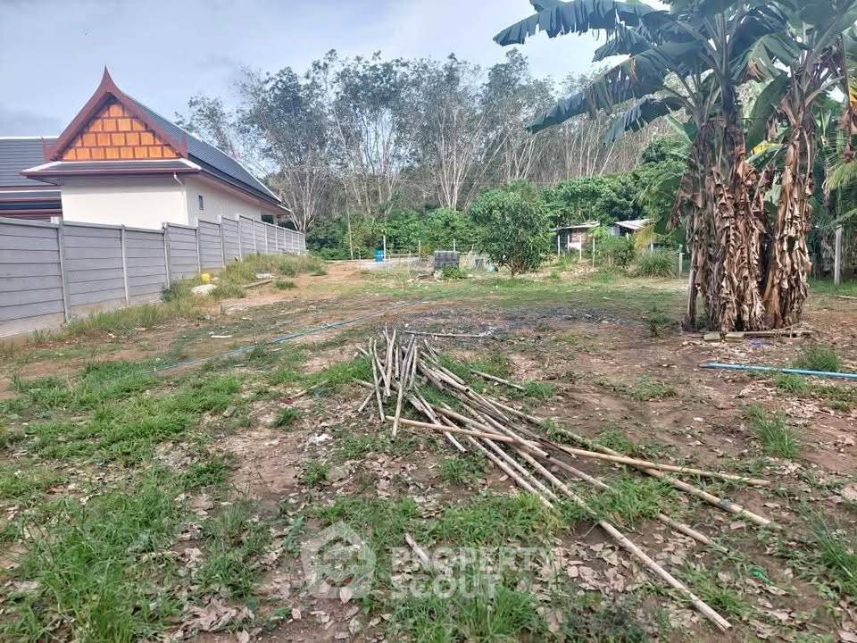 picture Land For Sale In Si Sunthon Thalang Phuket (ID 2215041) - 1/5