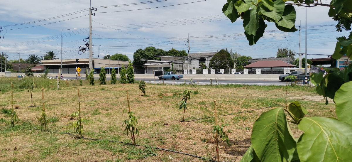 picture LAND FOR RENT 100 Square wah  land next to the road - 1/3