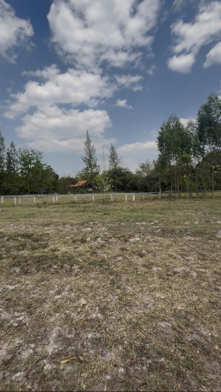 รูป ขายด่วน! ที่ดิน 12-1-45 ไร่ ทำเลทอง ใกล้นิคมอมตะนคร พร้อมโอนทันที - รูปที่ 2/5