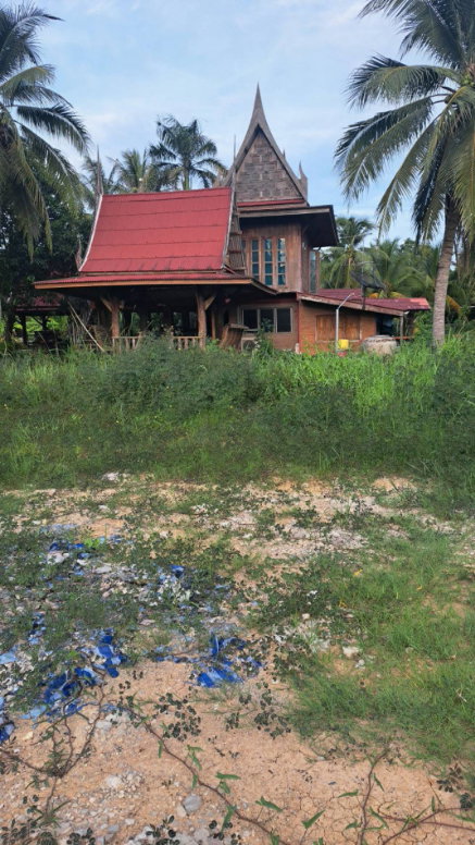 รูป ขาย ที่ดินพร้อมบ้านเรือนไทย บรรยากาศร่มรื่นเป็นส่วนตัว ทำเลดีบ้านแพ้ว สมุทรสาคร ขนาด 4 ไร่ 2 งานเศษ - รูปที่ 2/6