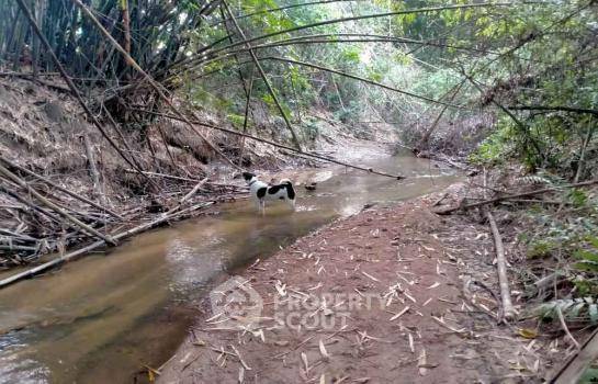 picture Land For Sale In Bang Phra, Si Racha, Chon Buri (ID 1972711) - 6/6