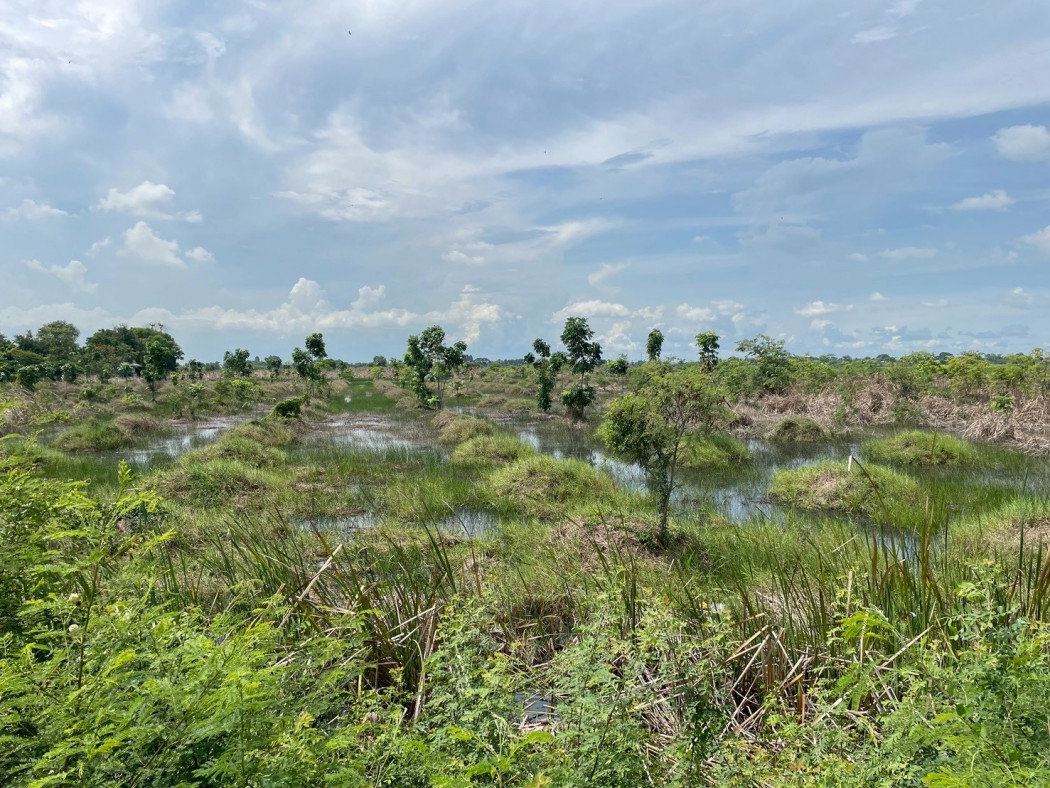 picture Urgent sale! Beautiful plot of land, fronting a main road, prime location, Khlong Luang Phaeng Subdistrict - 2/12