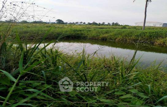 picture Land For Sale In Bang Phra, Si Racha, Chon Buri (ID 1972711) - 5/6