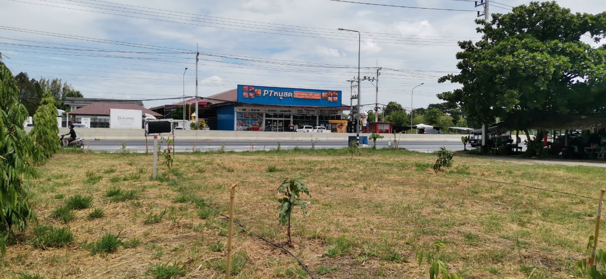 picture LAND FOR RENT 100 Square wah  land next to the road - 3/3
