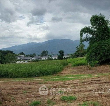 ขายที่ดินแซนทราย สันทราย สารภี เชียงใหม่ (ID 3113571)