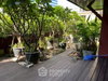 listing thumbnail image 19
