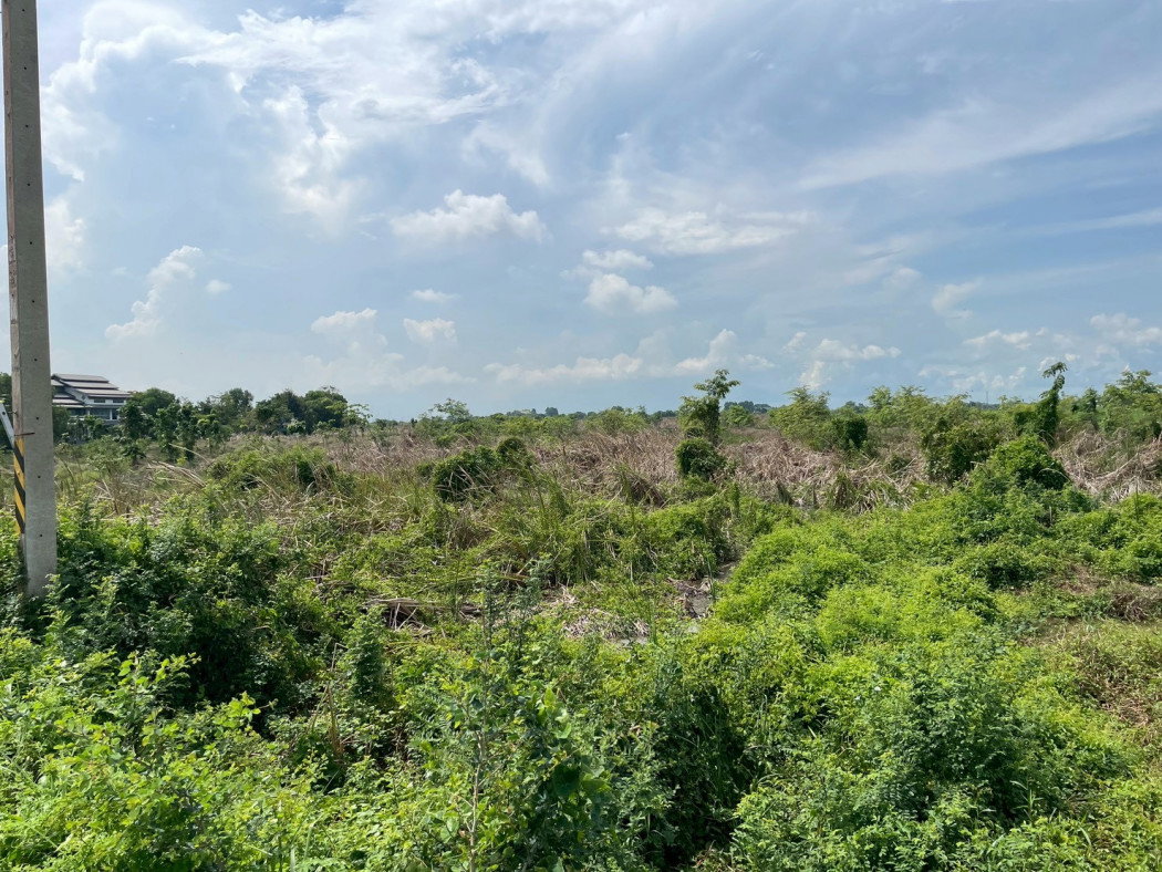 picture Urgent sale! Beautiful plot of land, fronting a main road, prime location, Khlong Luang Phaeng Subdistrict - 3/12