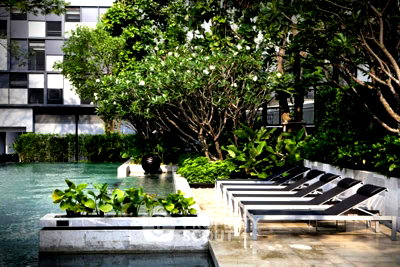 Condos for sale : 30th-Floor 2-BR 81 Sqm Condo For Sale At Quattro By Sansiri, BTS Thong Lor (ID 3121180)