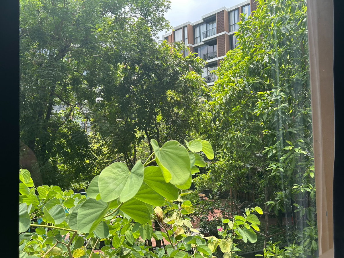 รูป For rent :  Mori Haus  (ST-02) - รูปที่ 10/10