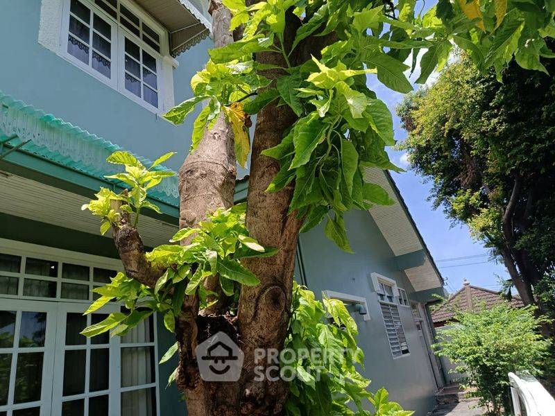 รูป บ้าน 4 ห้องนอน ให้เช่า หมู่บ้านสวน นาคะริน วงโบน พรเวศ (ID 2781961) - รูปที่ 3/18