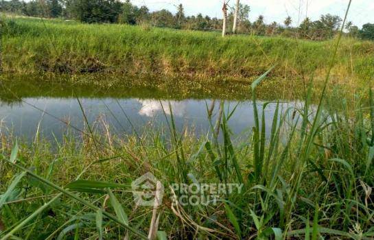 picture Land For Sale In Bang Phra, Si Racha, Chon Buri (ID 1972711) - 4/6