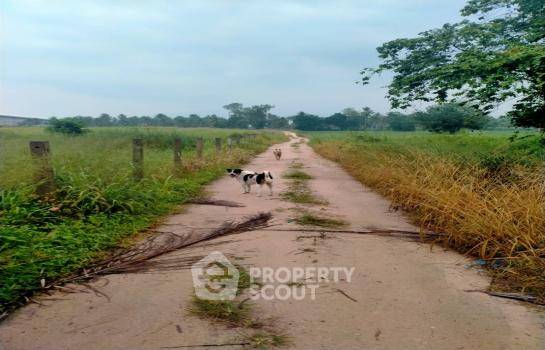 picture Land For Sale In Bang Phra, Si Racha, Chon Buri (ID 1972711) - 2/6