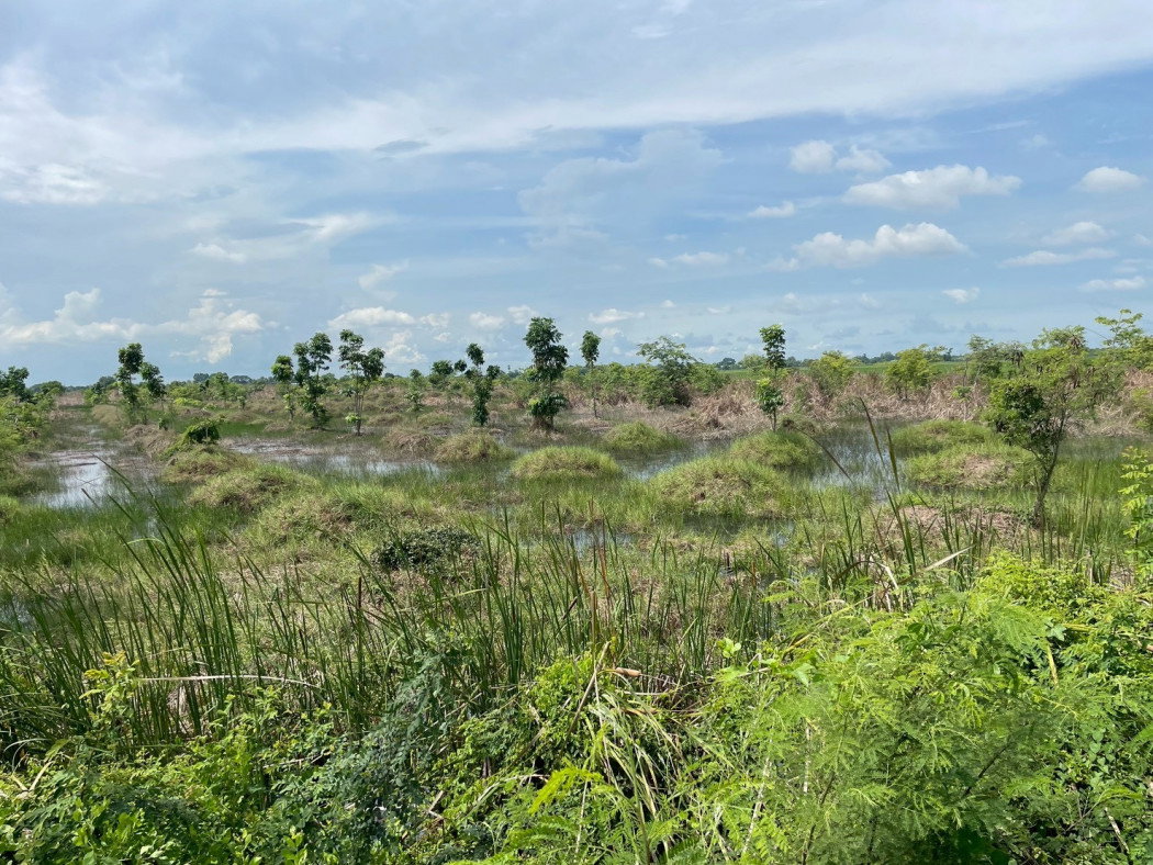 picture Urgent sale! Beautiful plot of land, fronting a main road, prime location, Khlong Luang Phaeng Subdistrict - 4/12