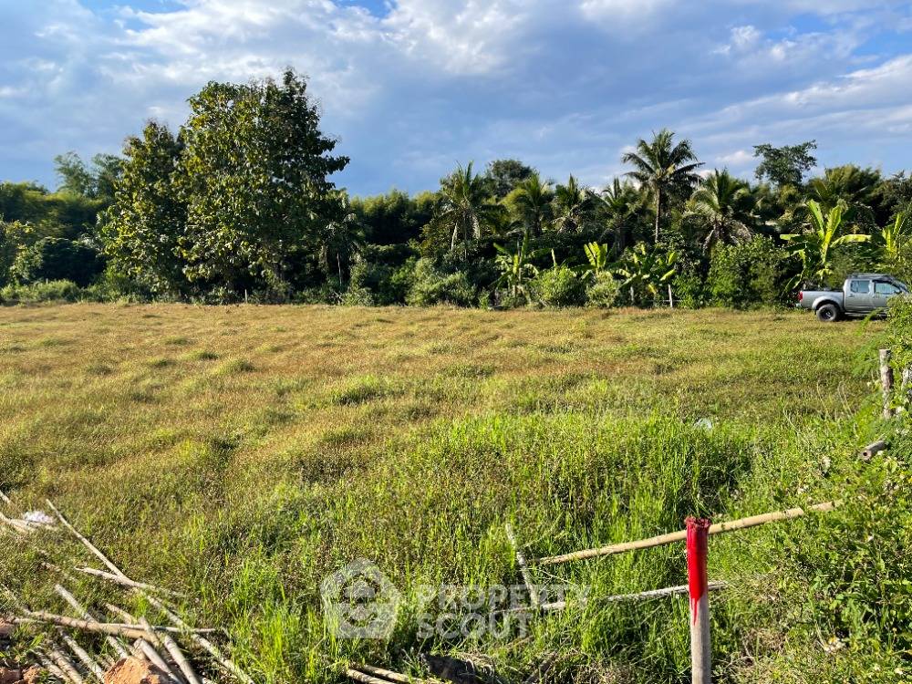 รูป ขายที่ดิน ในห้วยทราย แม่ริม เชียงใหม่ (ID 1471849) - รูปที่ 2/5