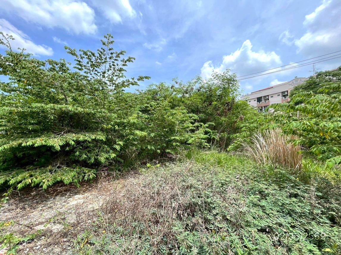 picture LAND 150 Sq.w. Lat Krabang Bangkok for 7.2M - 23/34