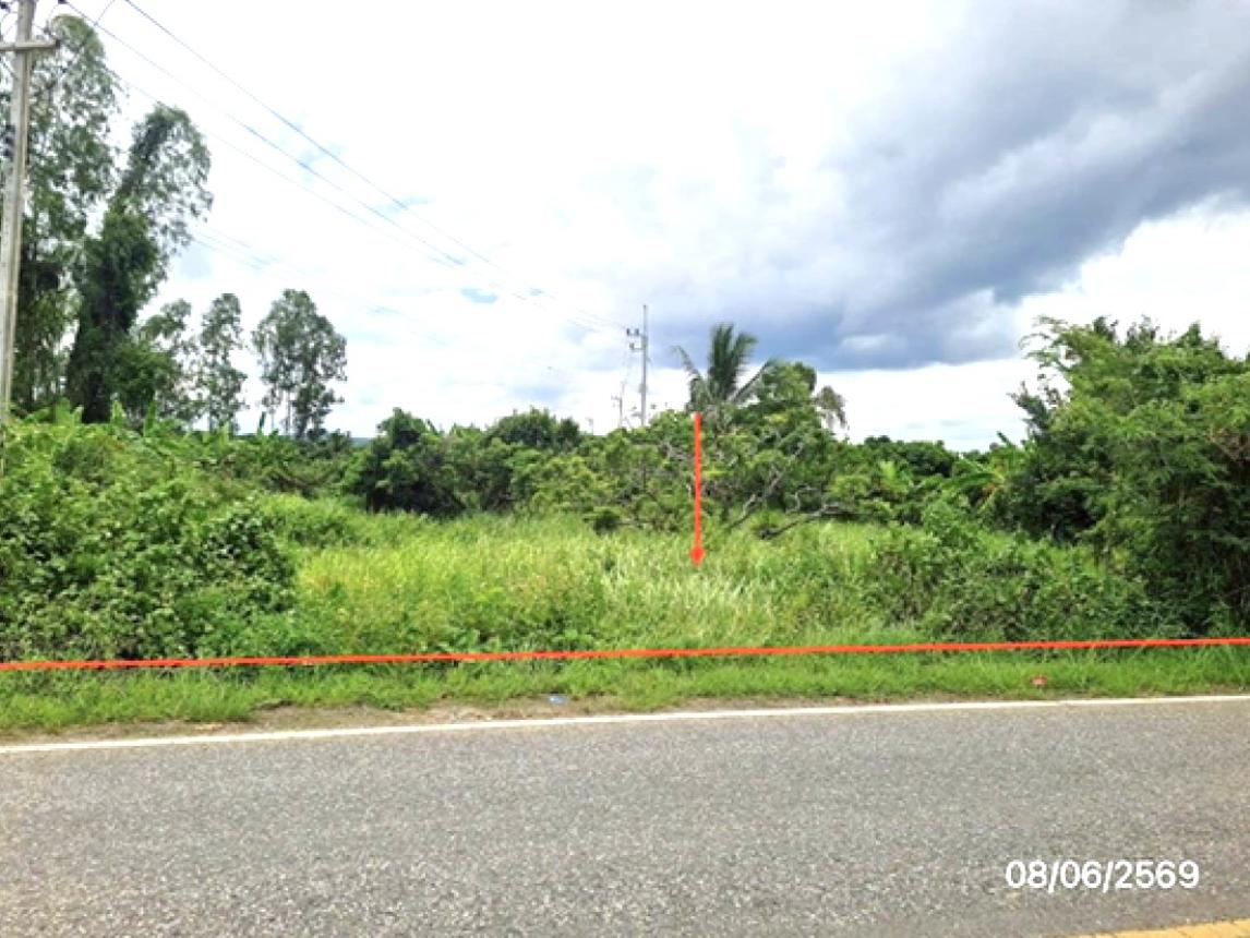 รูป ที่ดินว่างเปล่า 170 ตร.วา เทิง เชียงราย 255,000 - รูปที่ 6/14