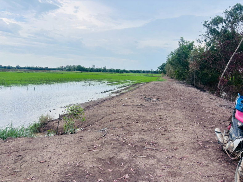 รูป ขาย ที่ดิน จ.ฉะเชิงเทรา อ.บางคล้า 30 ไร่ 3 งาน 44 ตรว - รูปที่ 7/7