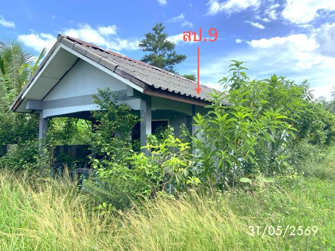 รูป บ้านเดี่ยว 7282 ตร.วา สะเดา สงขลา 19.2M - รูปที่ 12/38
