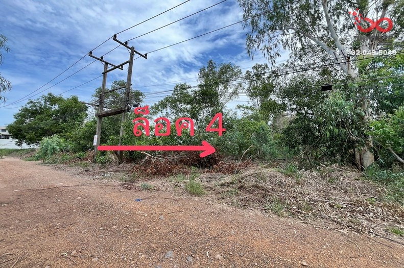 รูป ขายที่ดิน 202 ตร.ว. รังสิตคลอง 1 รังสิต-นครนายก 25-27 ใกล้ฟิวเจอร์พาร์ค ปทุมธานี  - รูปที่ 2/3