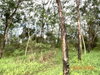 listing thumbnail image 33