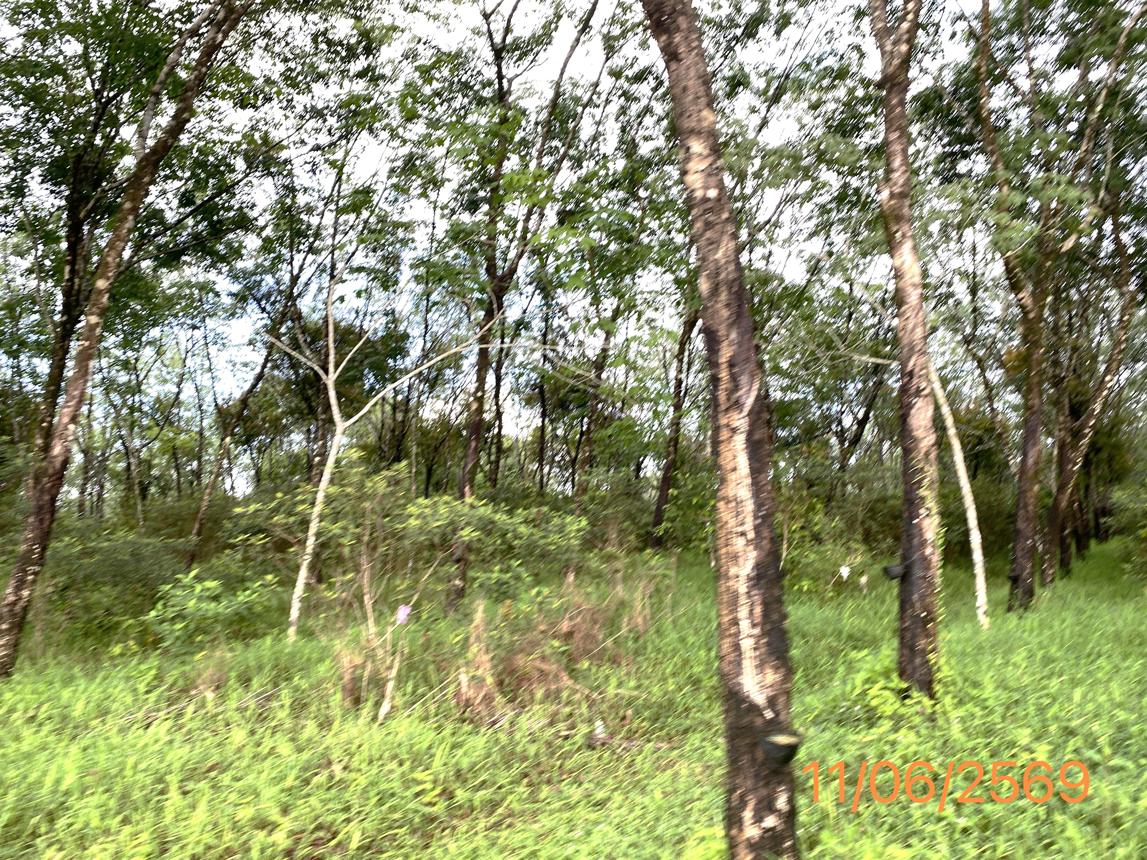 picture HOME 8712 Sq.w. Takua Pa Phangnga for 8.9M - 34/38