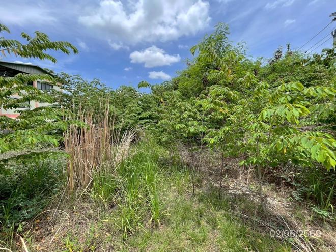 picture LAND 150 Sq.w. Lat Krabang Bangkok for 7.2M - 9/34