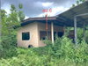 listing thumbnail image 26