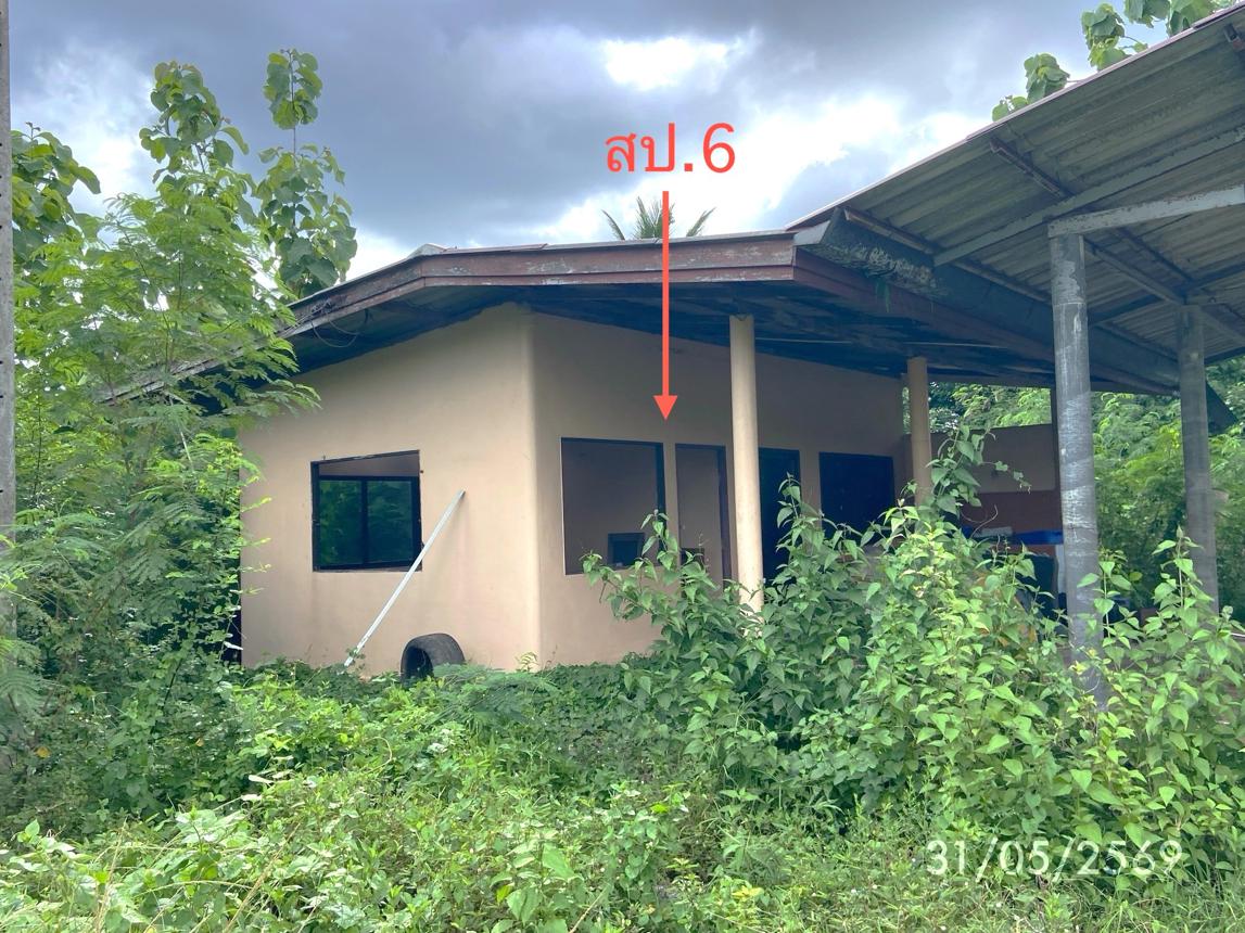 รูป บ้านเดี่ยว 7282 ตร.วา สะเดา สงขลา 19.2M - รูปที่ 27/38