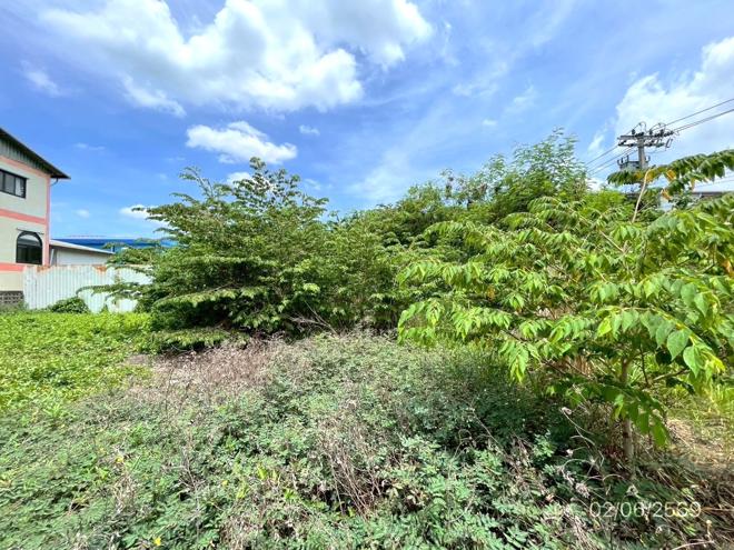 picture LAND 150 Sq.w. Lat Krabang Bangkok for 7.2M - 6/34