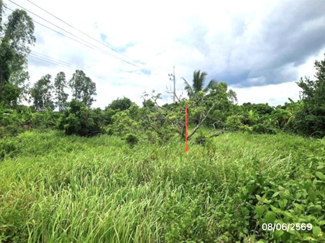รูป ที่ดินว่างเปล่า 170 ตร.วา เทิง เชียงราย 255,000 - รูปที่ 5/14