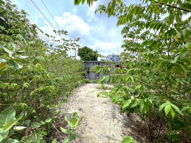 picture LAND 150 Sq.w. Lat Krabang Bangkok for 7.2M - 2/34