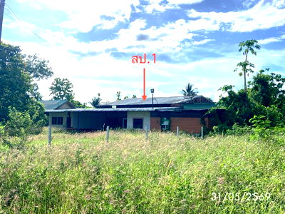 ขายบ้านเดี่ยว : บ้านเดี่ยว 7282 ตร.วา สะเดา สงขลา 19.2M