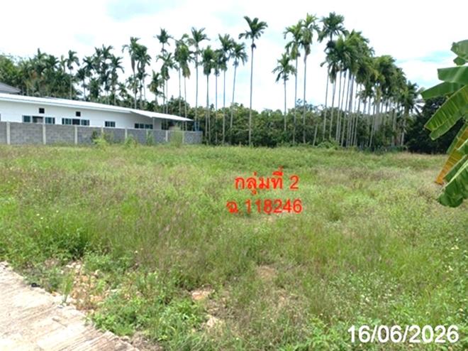 picture LAND 468.8 Sq.w. San Sai Chiang Mai for 2.8M - 8/20