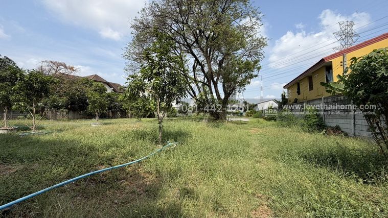 Land for sale, 987 sq wah, Suan Luang