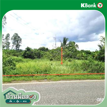 รูป ที่ดินว่างเปล่า 170 ตร.วา เทิง เชียงราย 255,000 - รูปที่ 12/14