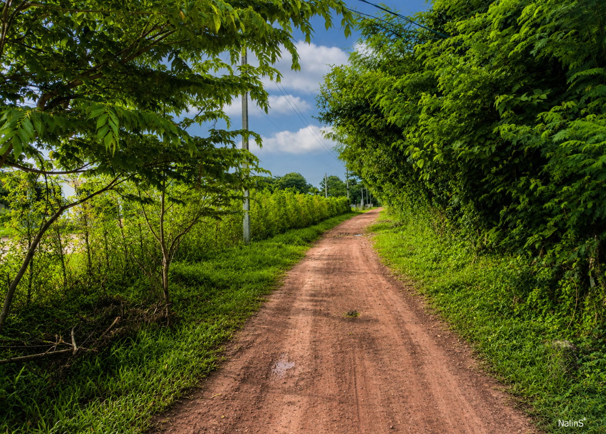 picture Prime Development Land for Sale in Udon Thani, Thailand | 24 Rai | Highway 2202 Frontage | Near Mittraphap Road - 6/9