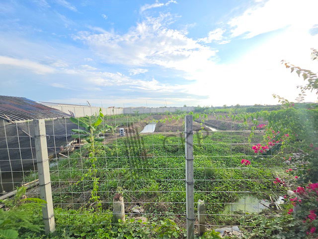 รูป ขายที่ดินพร้อมบ้านและสวน ขนาดใหญ่ 6 ไร่ 114 ตร.วา ทำเลทอง เหมาะสำหรับทำบ้านพักตากอากาศ บ้านสวน โครงการหมู่บ้านจัดสรร | 93389 - รูปที่ 17/20