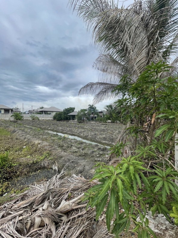 picture Urgent sale of a beautiful land plot, 2 rai 23 square wah, in Khlong Mai, Sam Phran, Nakhon Pathom. - 6/6