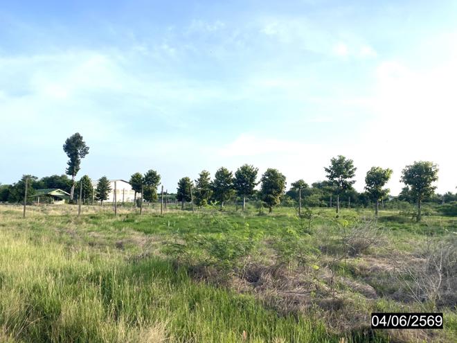 รูป อาคารโรงงาน 10386.7 ตร.วา ตะพานหิน พิจิตร 15.6M - รูปที่ 17/40