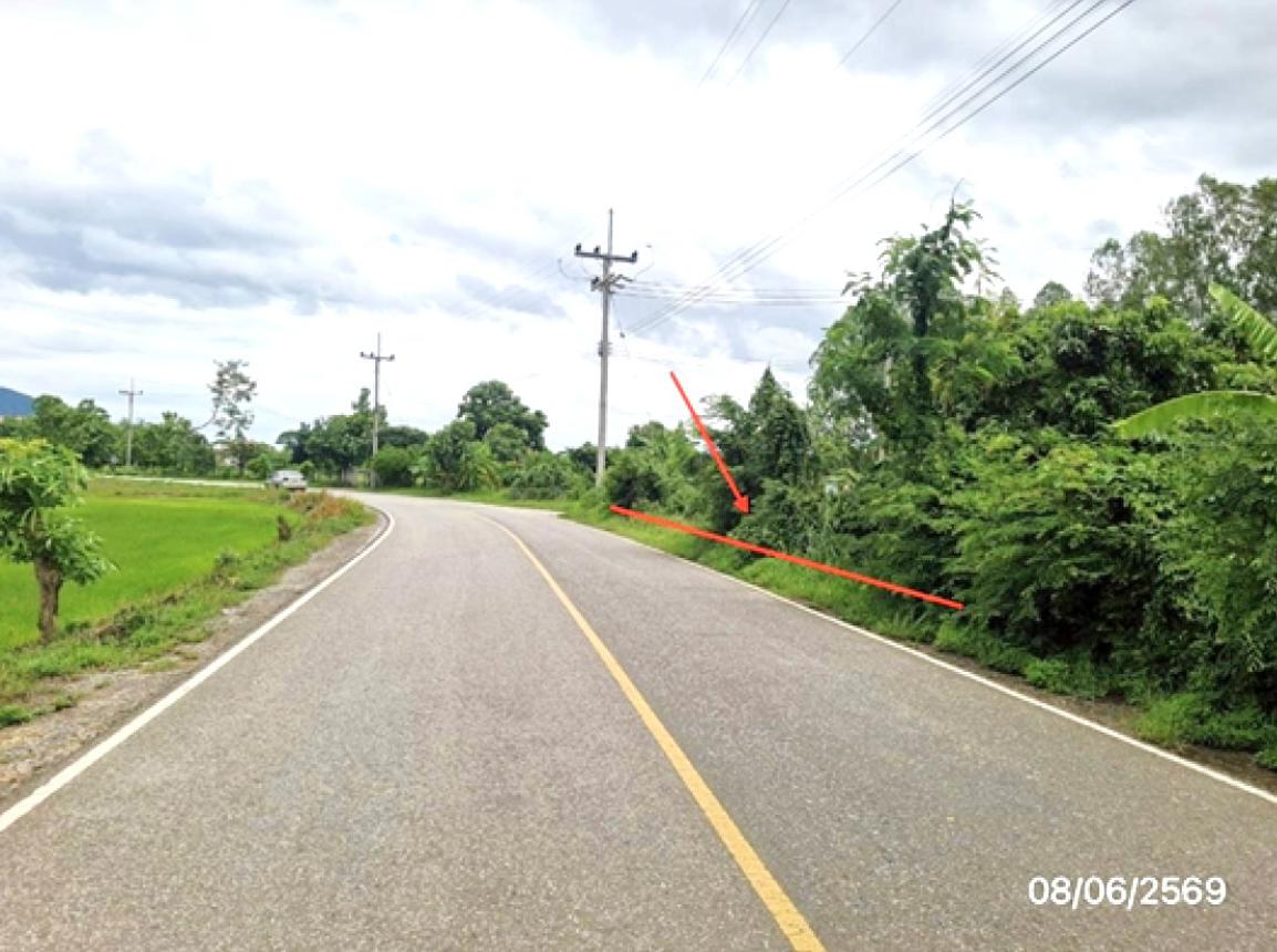 รูป ที่ดินว่างเปล่า 170 ตร.วา เทิง เชียงราย 255,000 - รูปที่ 9/14