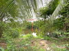 listing thumbnail image 15