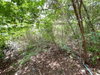 listing thumbnail image 27