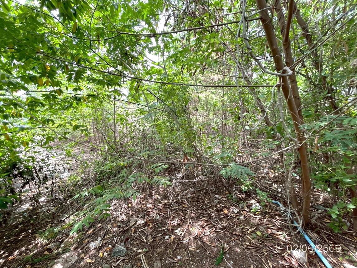 picture LAND 150 Sq.w. Lat Krabang Bangkok for 7.2M - 28/34