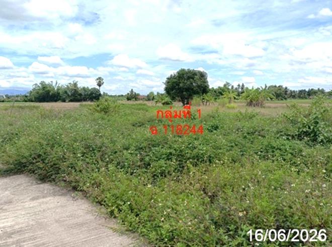 picture LAND 468.8 Sq.w. San Sai Chiang Mai for 2.8M - 4/20